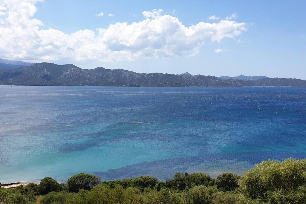 Appartement Sur La Baie De Saint Florent Patrimonio Exterior foto