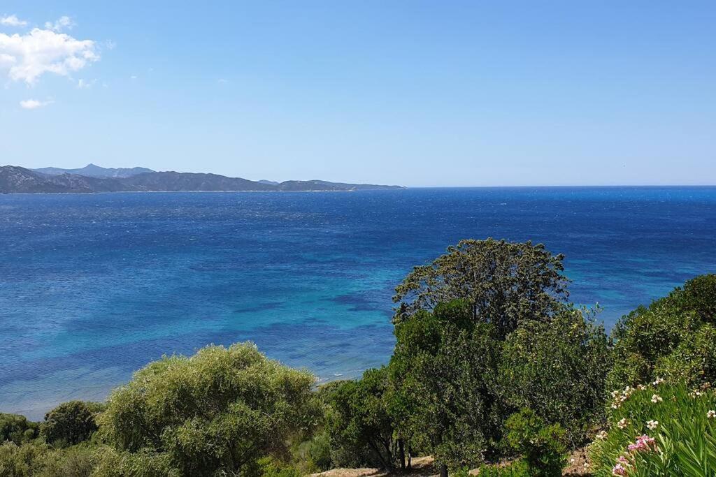 Appartement Sur La Baie De Saint Florent Patrimonio Exterior foto